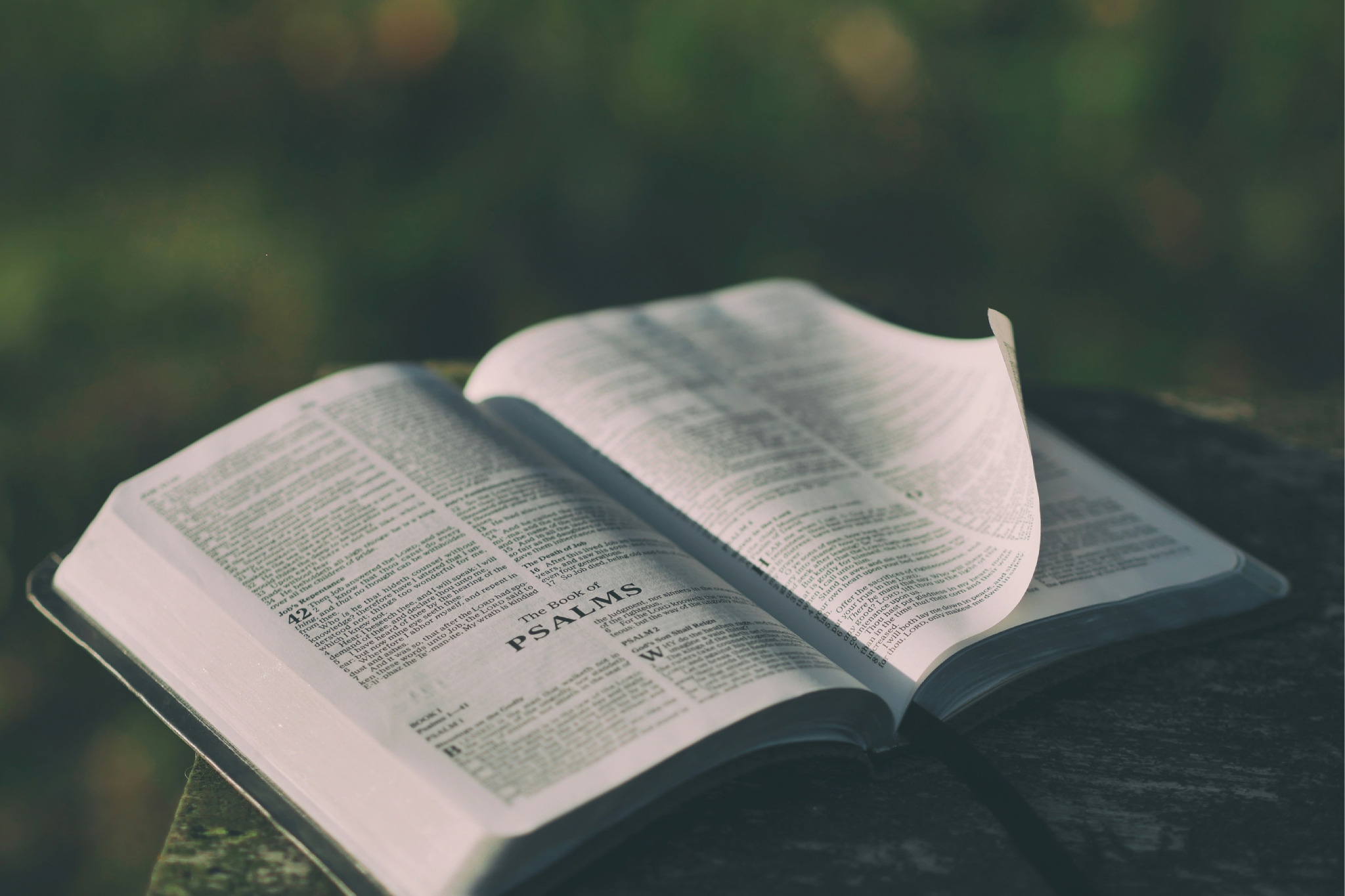 A bible open to the chapter of Psalms sitting on a wooden bench in wilderness.